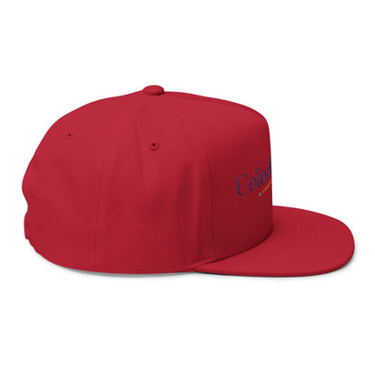 Embroidered Flat Bill Cap - Stylish ColorfulRobe Design